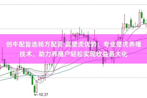 创牛配皆选杨方配资 赢壁虎优势：专业壁虎养殖技术，助力养殖户轻松实现收益最大化