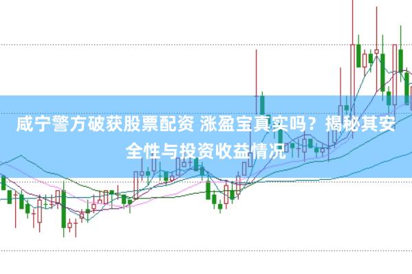 咸宁警方破获股票配资 涨盈宝真实吗？揭秘其安全性与投资收益情况