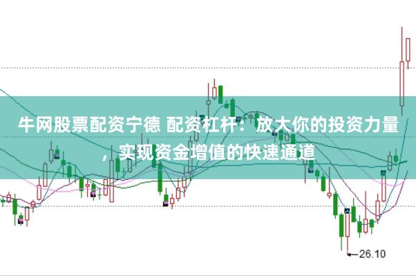 牛网股票配资宁德 配资杠杆：放大你的投资力量，实现资金增值的快速通道