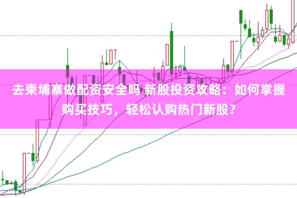 去柬埔寨做配资安全吗 新股投资攻略：如何掌握购买技巧，轻松认购热门新股？
