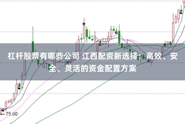 杠杆股票有哪些公司 江西配资新选择：高效、安全、灵活的资金配置方案