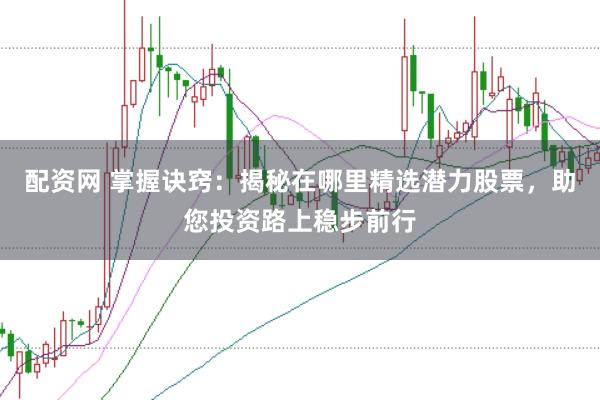 配资网 掌握诀窍：揭秘在哪里精选潜力股票，助您投资路上稳步前行