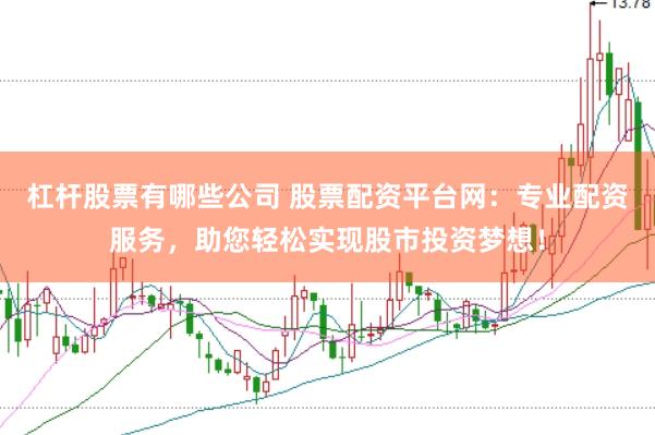 杠杆股票有哪些公司 股票配资平台网：专业配资服务，助您轻松实现股市投资梦想！