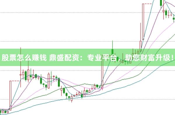 股票怎么赚钱 鼎盛配资：专业平台，助您财富升级！