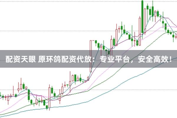 配资天眼 原环鸽配资代放：专业平台，安全高效！