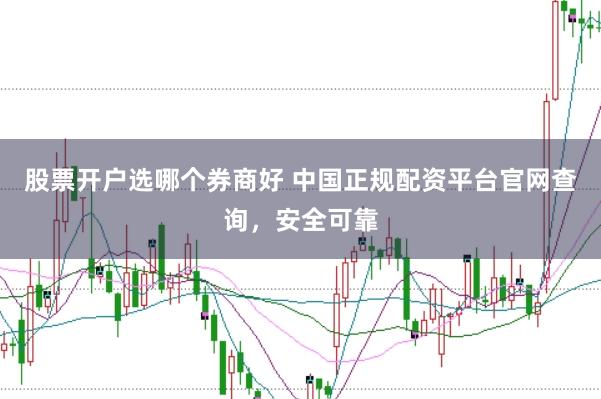 股票开户选哪个券商好 中国正规配资平台官网查询,安全可靠